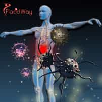 Immune Cell & Stem Cell Therapy in Japan: Things to Know